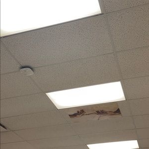 Meet your Posher, Orlando